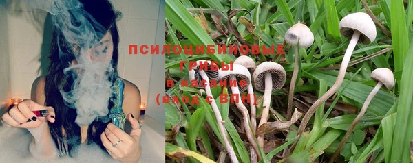 дурь Коряжма