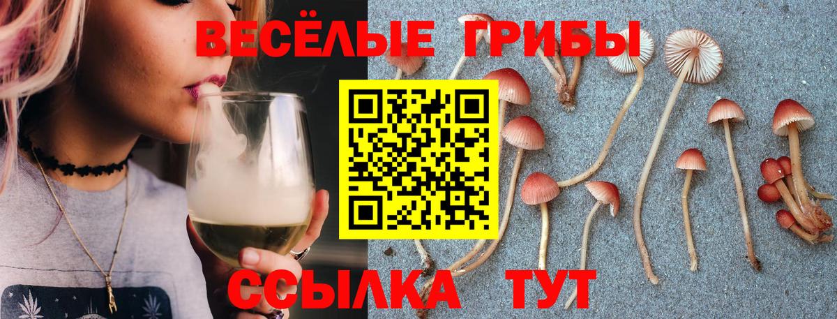 Сургут  Галлюциногенные грибы прущие грибы  Вход с VPN 